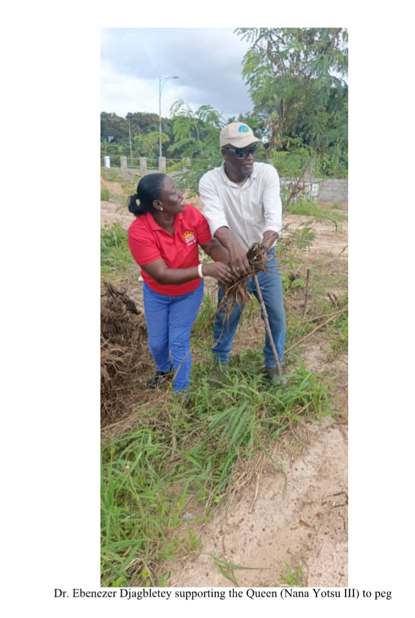 Seedling Nursery Management