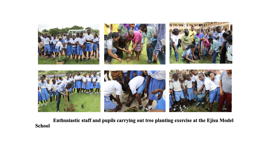 School Program Activity #17