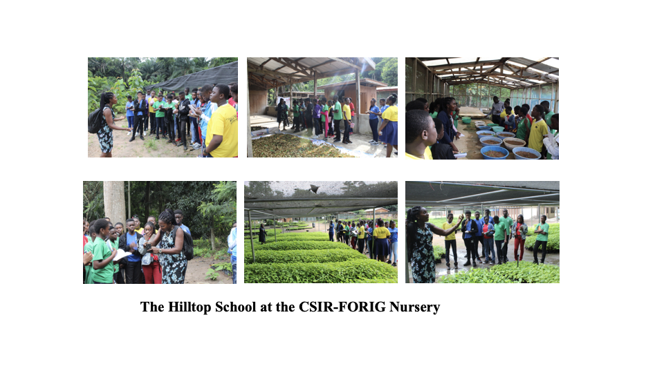 School Program Activity #20