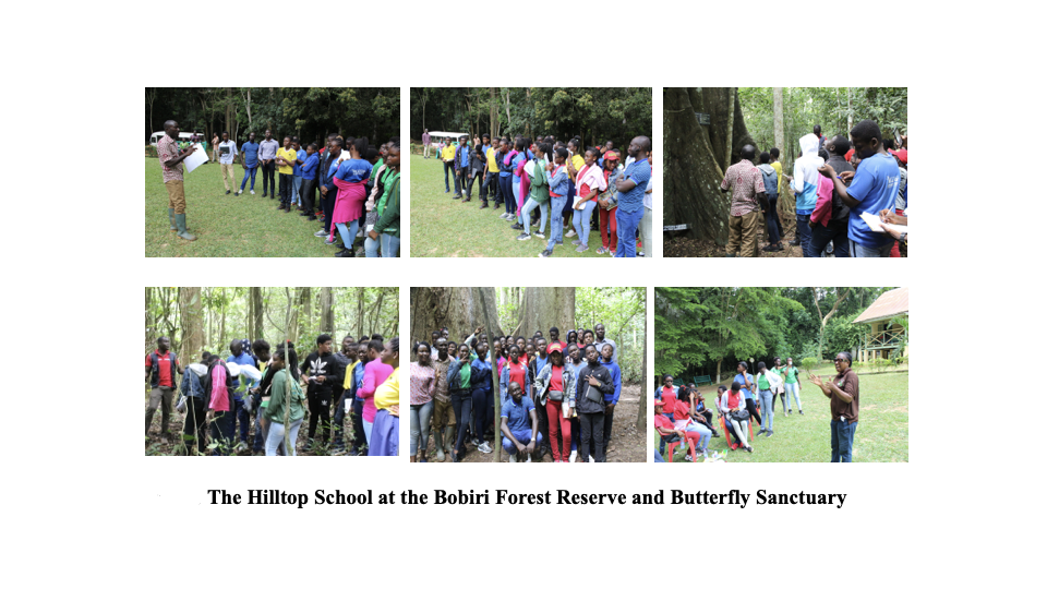 School Program Activity #21