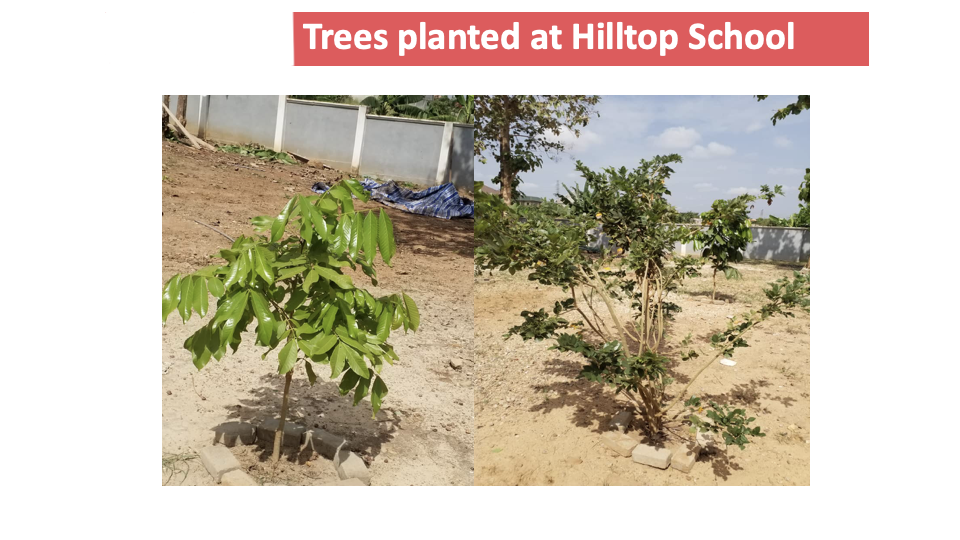 School Program Activity #22