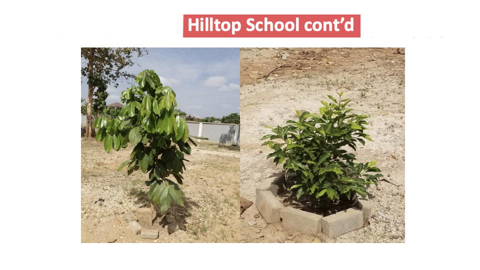 School Program Activity #23