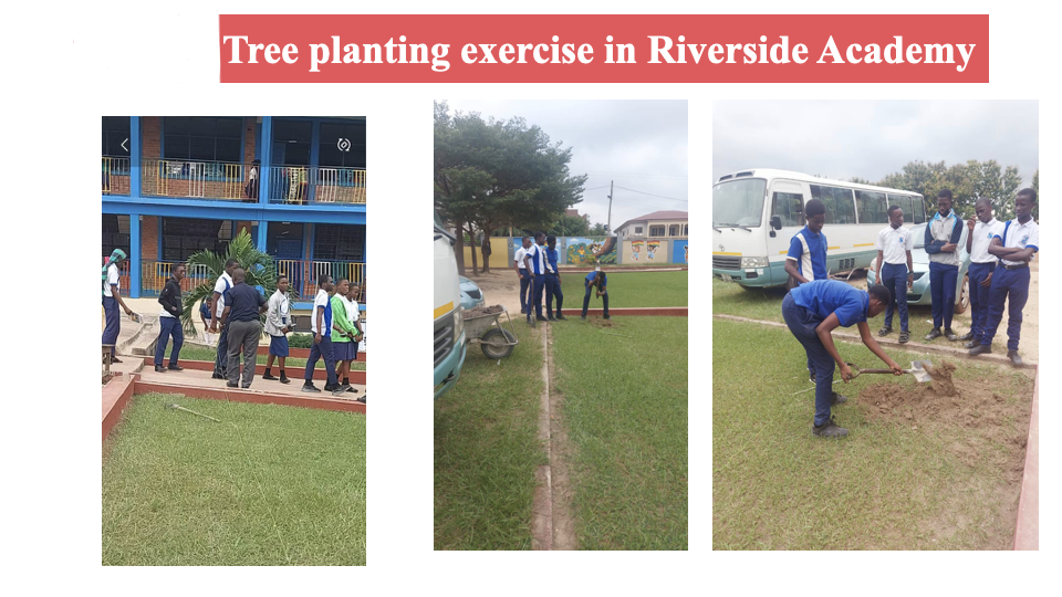 School Program Activity #26