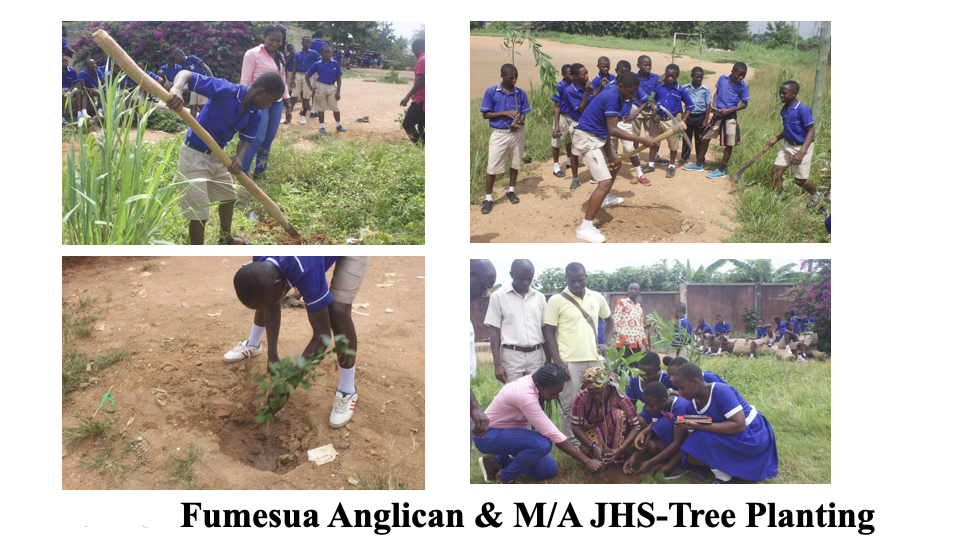 School Program Activity #6