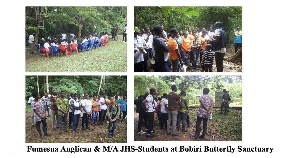 School Program Activity #7